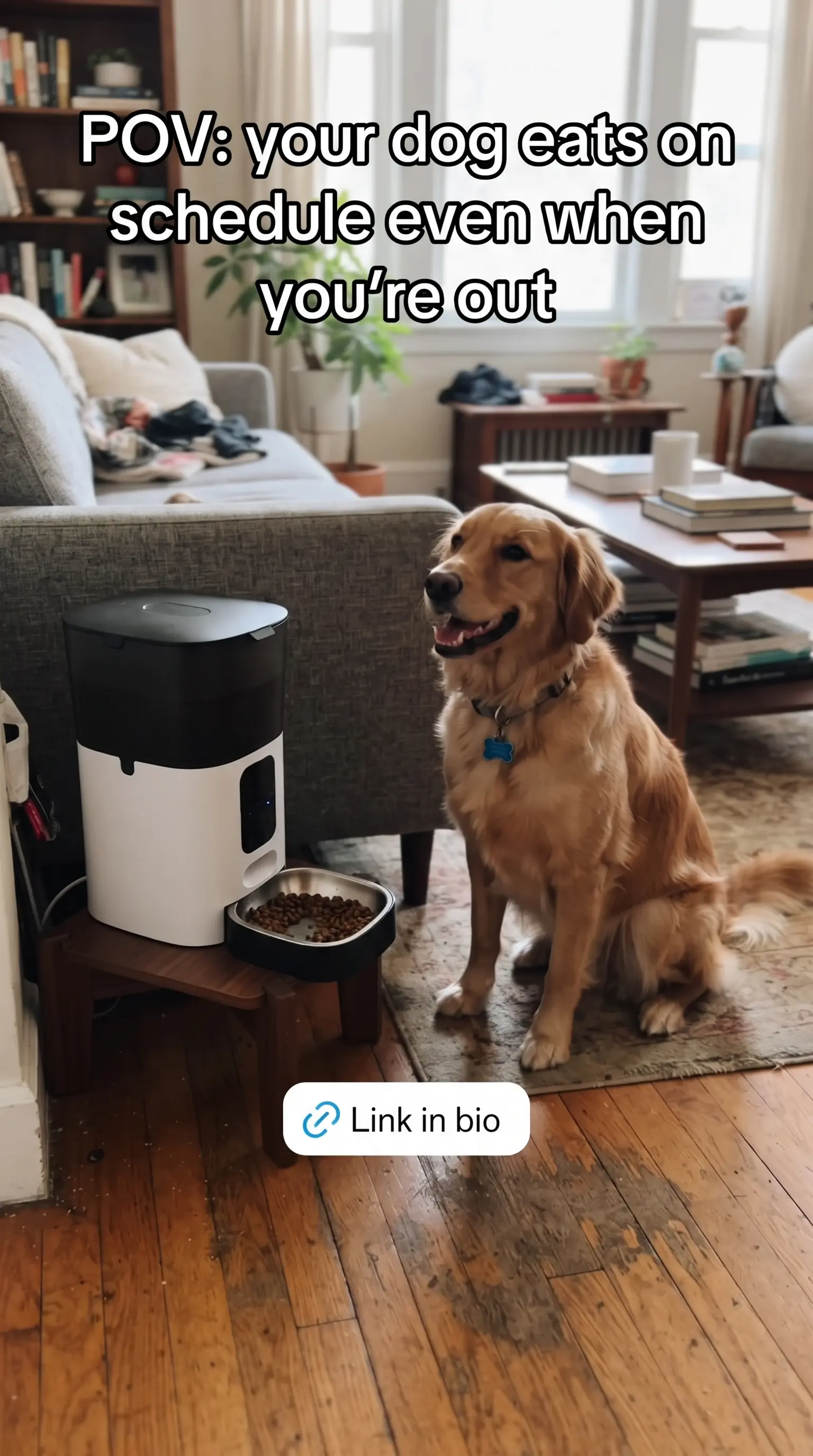 TikTok · 9:16